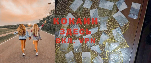 соль ск Алексин