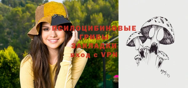 соль ск Алексин
