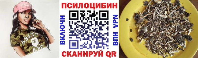 кракен маркетплейс  Новосиль  Галлюциногенные грибы мухоморы  купить наркотик 